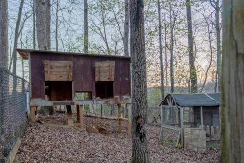 141 Chambers Mountain Mineral Bluff GA 30559