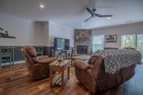 141 Chambers Mountain Mineral Bluff GA 30559