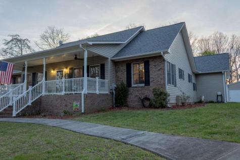 141 Chambers Mountain Mineral Bluff GA 30559