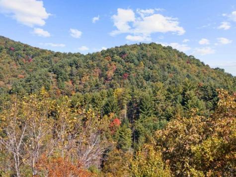 Lot 8 Butler Creek Road Cherry Log GA 30522