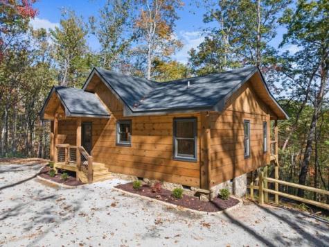 Lot 8 Butler Creek Road Cherry Log GA 30522