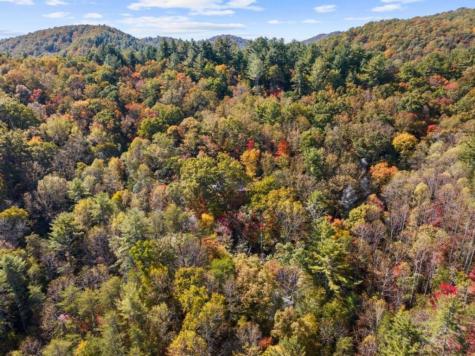 Lot 8 Butler Creek Road Cherry Log GA 30522