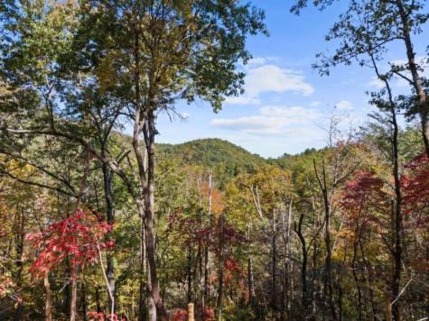 Lot 8 Butler Creek Road Cherry Log GA 30522