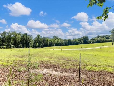 1885 Post Road Cleveland GA 30528