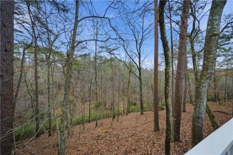 121 White Antelope Street Waleska GA 30183