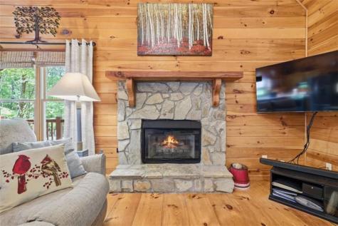 105 Blackberry Falls Court Ellijay GA 30536