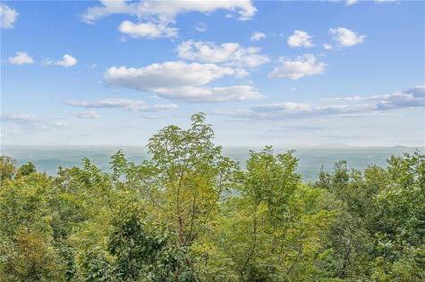 1455 Ridgeview Drive Big Canoe GA 30143