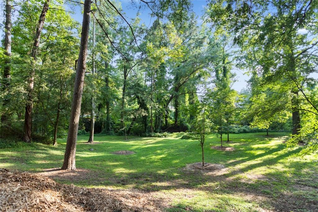 1164 Bonview Lane NE Atlanta GA 30324