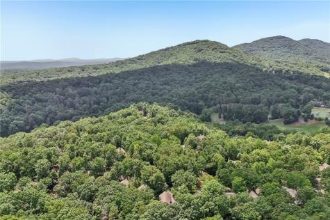 63 Choctaw Ridge Big Canoe GA 30143