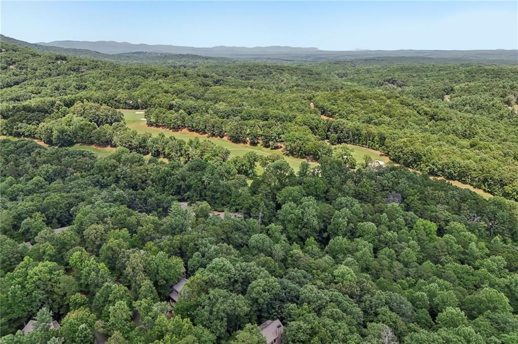 63 Choctaw Ridge Big Canoe GA 30143