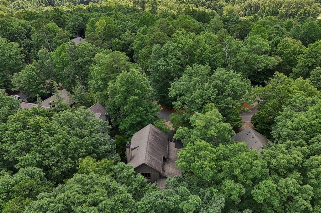 63 Choctaw Ridge Big Canoe GA 30143