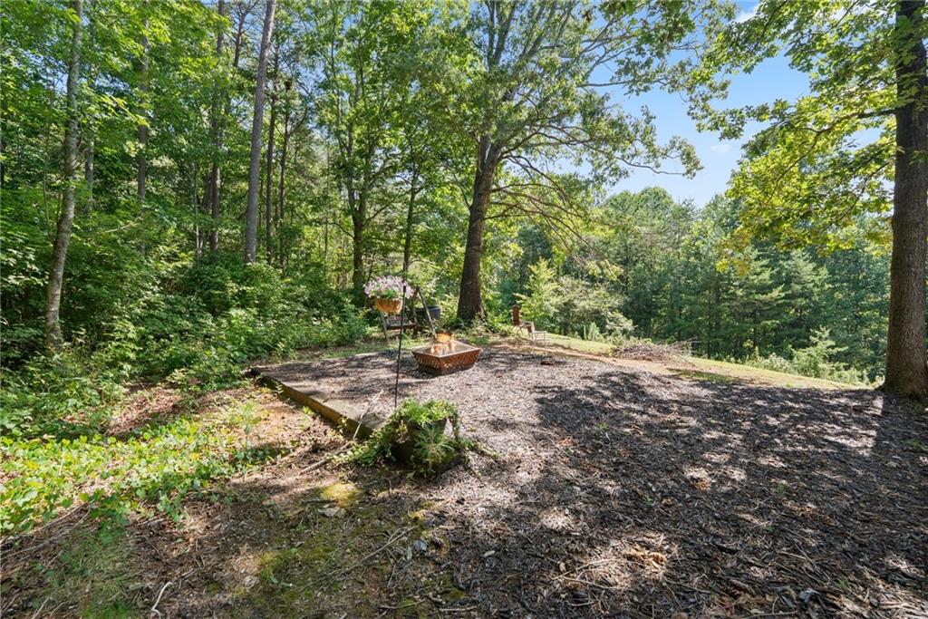 9724 Elliott Family Parkway Dawsonville GA 30536