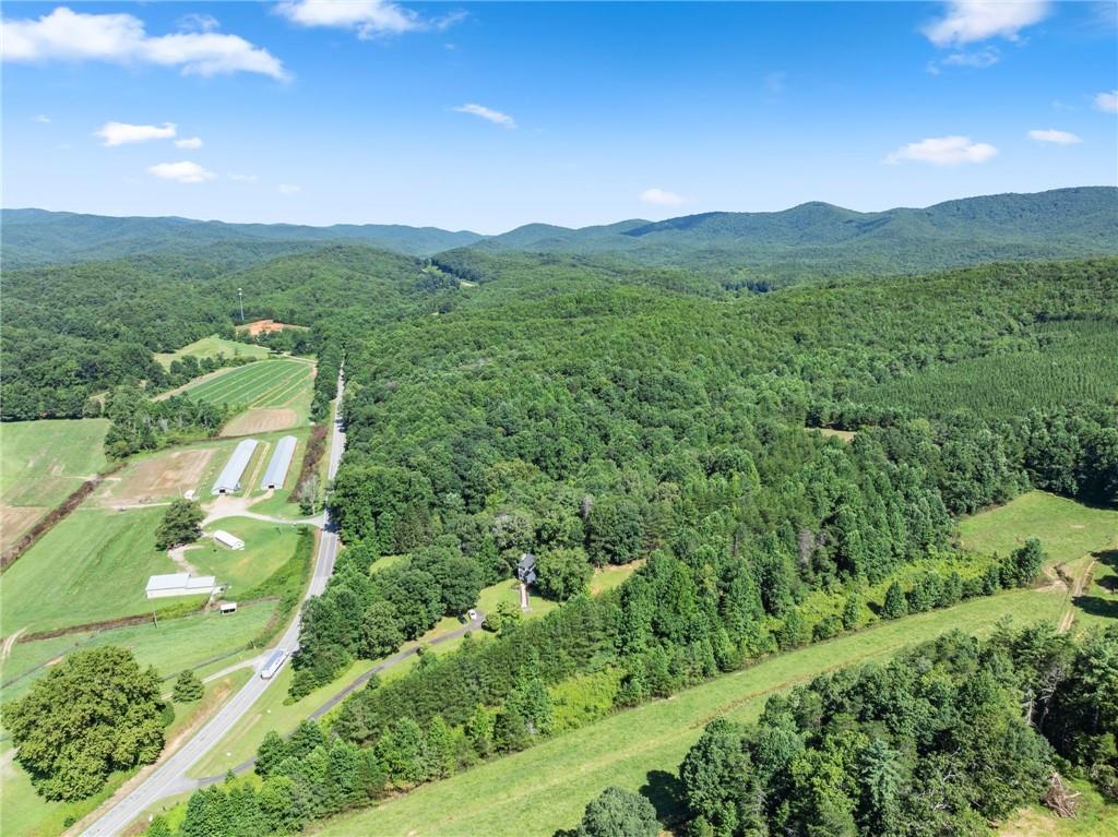 9724 Elliott Family Parkway Dawsonville GA 30536