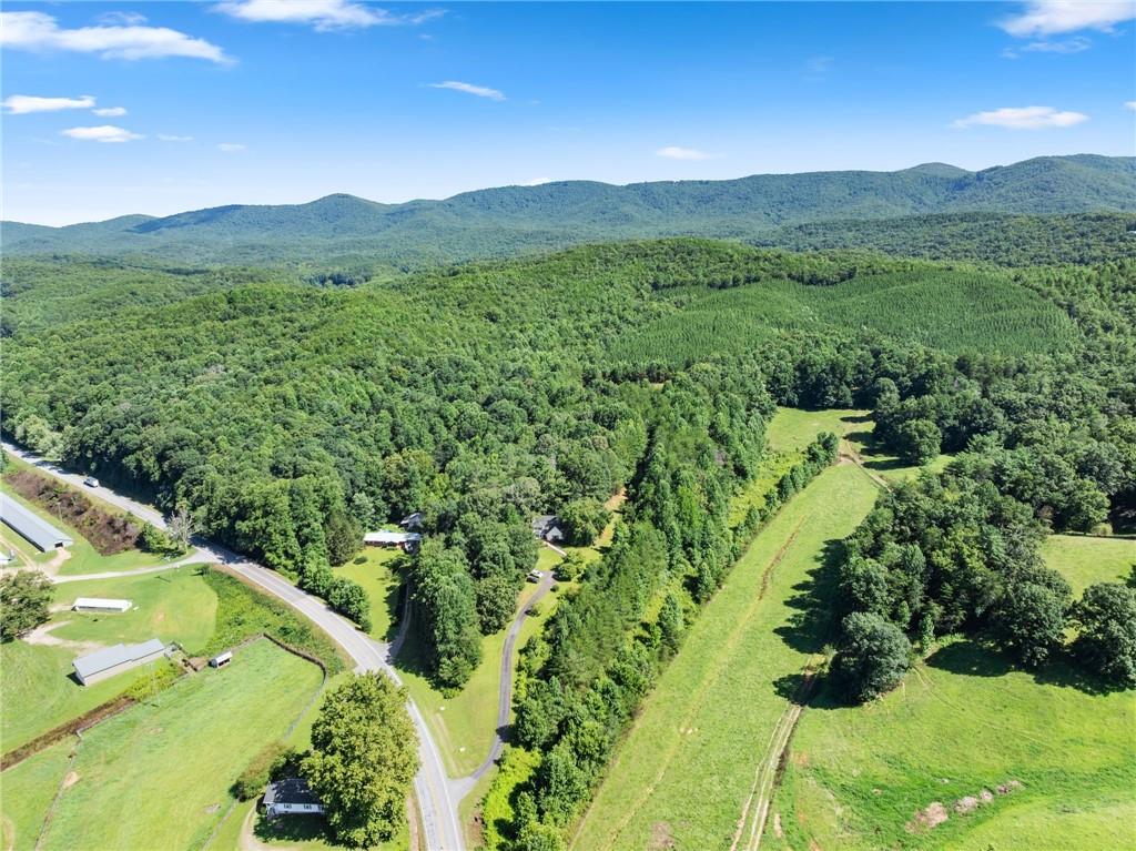 9724 Elliott Family Parkway Dawsonville GA 30536