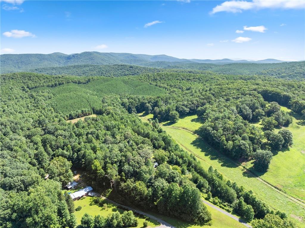 9724 Elliott Family Parkway Dawsonville GA 30536