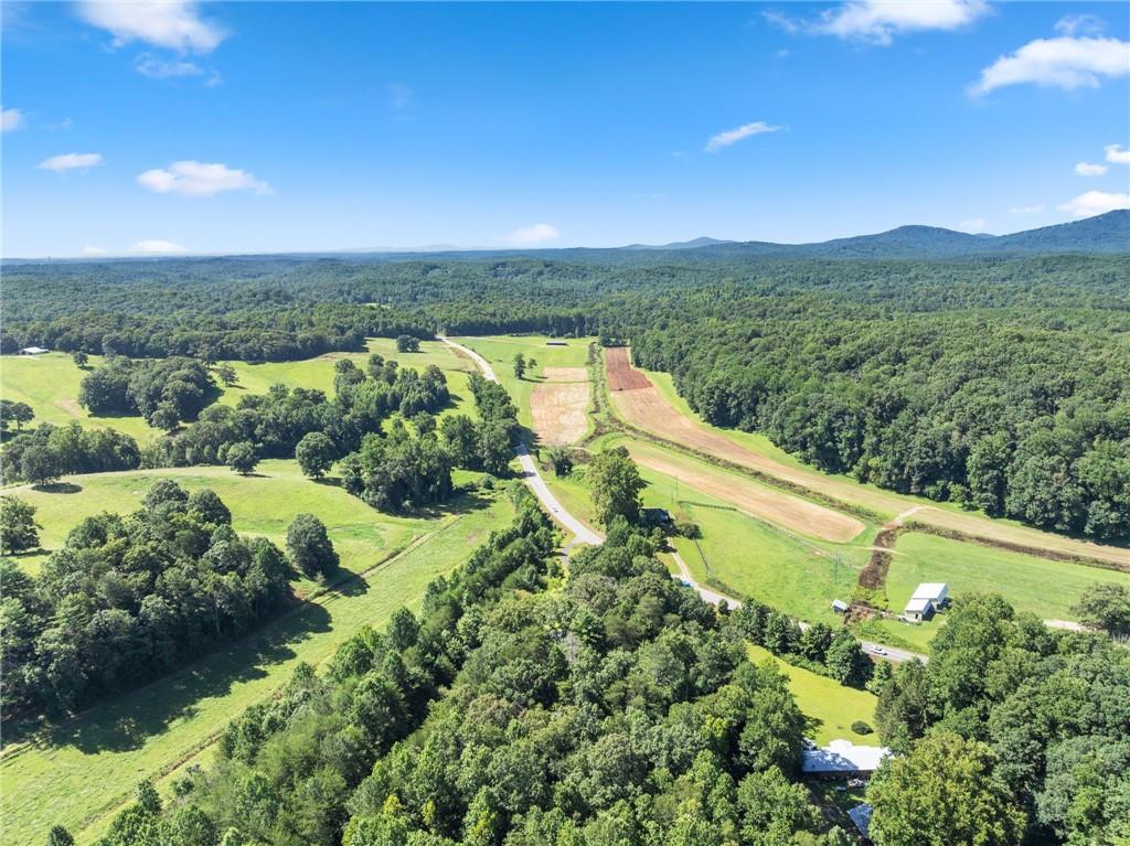 9724 Elliott Family Parkway Dawsonville GA 30536