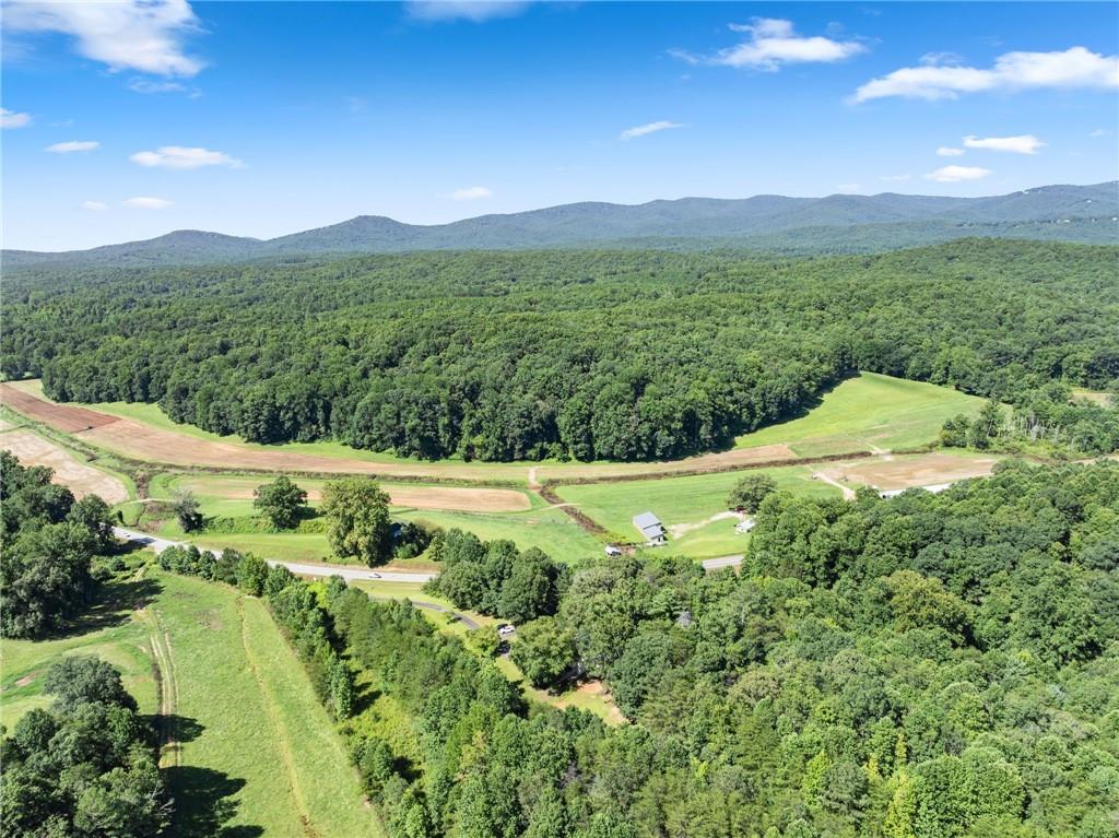 9724 Elliott Family Parkway Dawsonville GA 30536