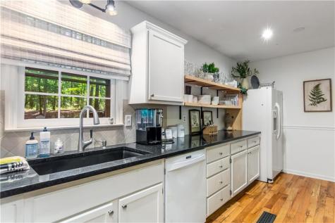 480 Pasha Drive Ellijay GA 30540
