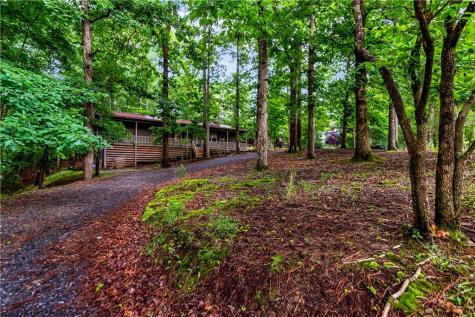 480 Pasha Drive Ellijay GA 30540