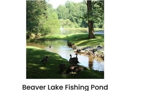 480 Pasha Drive Ellijay GA 30540
