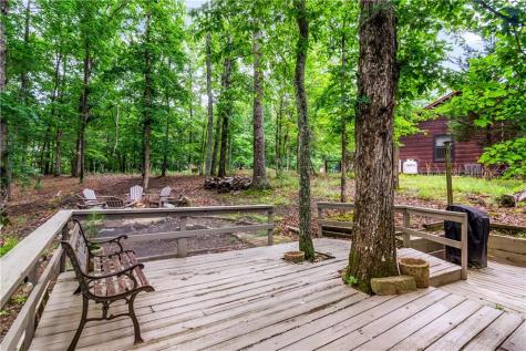 480 Pasha Drive Ellijay GA 30540