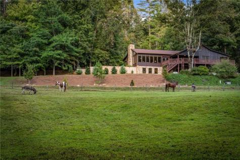 361 Forest Service Road Epworth GA 30541