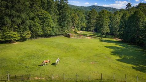 361 Forest Service Road Epworth GA 30541
