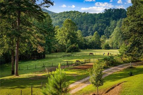 361 Forest Service Road Epworth GA 30541