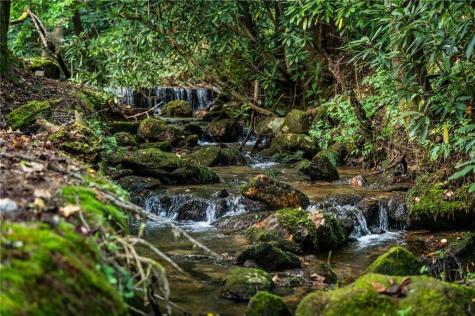 361 Forest Service Road Epworth GA 30541