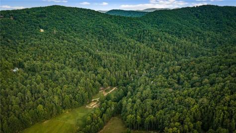 361 Forest Service Road Epworth GA 30541
