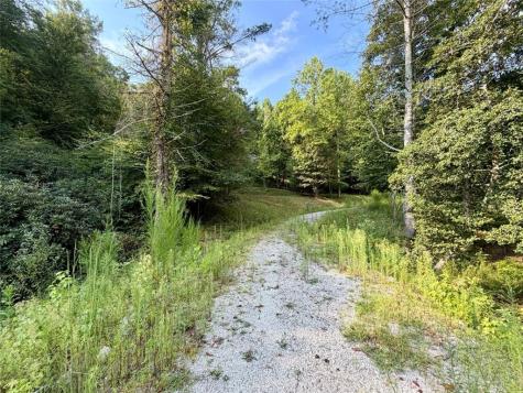 1657 Nimblewill Gap Road Dahlonega GA 30533