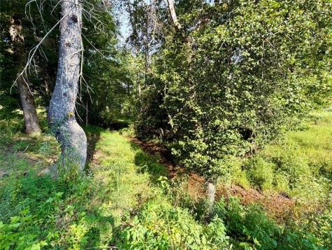 1657 Nimblewill Gap Road Dahlonega GA 30533