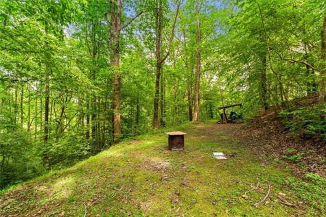 1178 Swan Bridge Road Talking Rock GA 30175