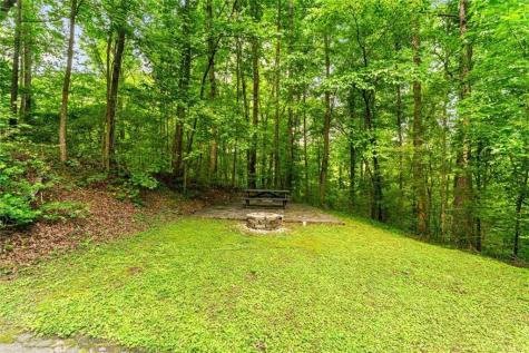 1178 Swan Bridge Road Talking Rock GA 30175
