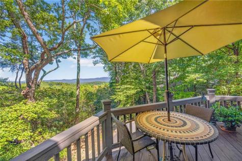 81 Ahaluna Place Jasper GA 30143