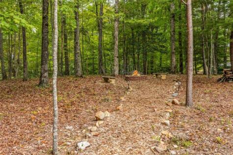 200 Plantation Lane Blue Ridge GA 30513