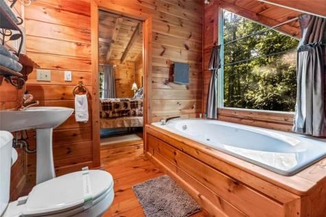 28 Dupont Drive Blue Ridge GA 30513