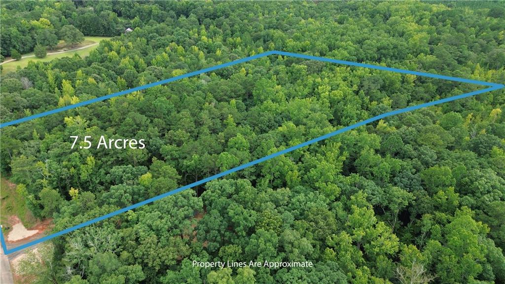 0 Roosevelt Hwy - Lot 1 Warm Springs GA 31830