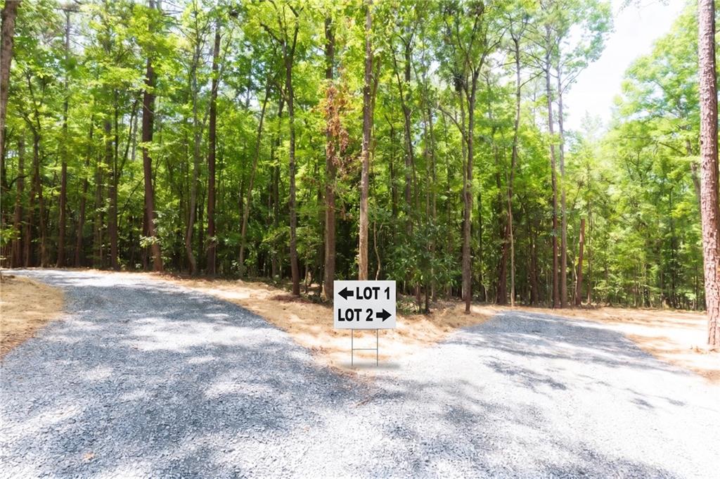 0 Roosevelt Hwy - Lot 1 Warm Springs GA 31830