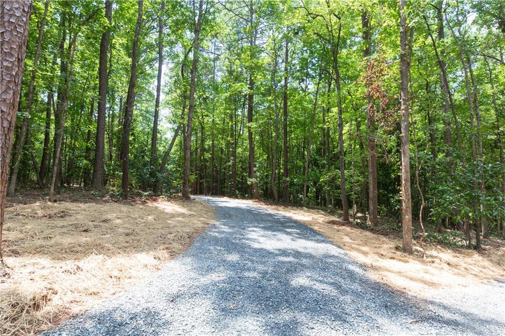 0 Roosevelt Hwy - Lot 1 Warm Springs GA 31830