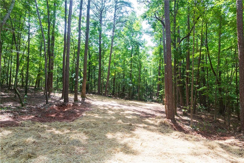 0 Roosevelt Hwy - Lot 1 Warm Springs GA 31830
