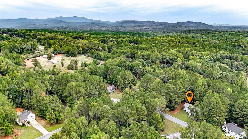 13 Black Water Drive White GA 30184