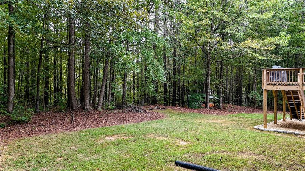 13 Black Water Drive White GA 30184