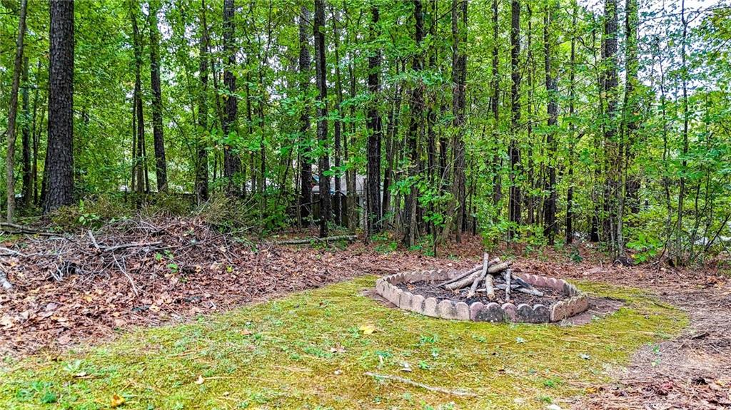 13 Black Water Drive White GA 30184