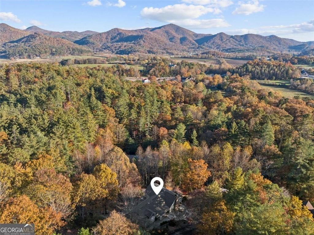 174 Bell Colony Road Dillard GA 30537