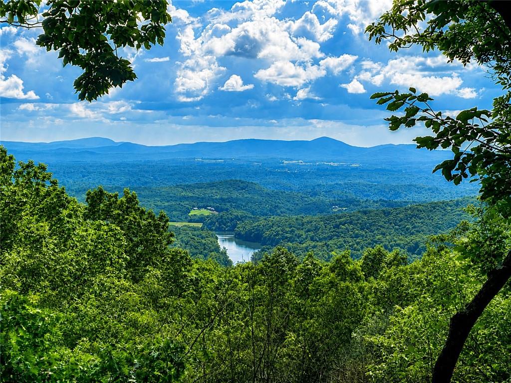 300 Sassafras Mountain Trail Jasper GA 30143