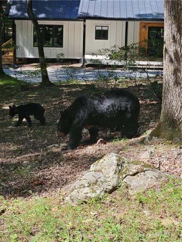 300 Sassafras Mountain Trail Jasper GA 30143