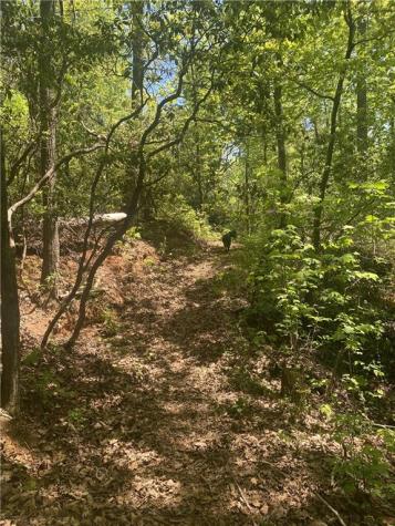 159 Prospect Trail Cleveland GA 30528
