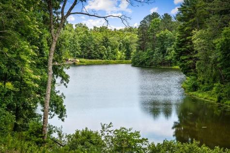 363 Pinnacle Drive Ellijay GA 30540