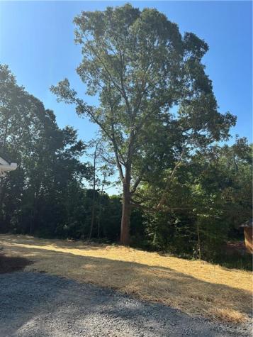 60 Olive Branch Lane Dahlonega GA 30533